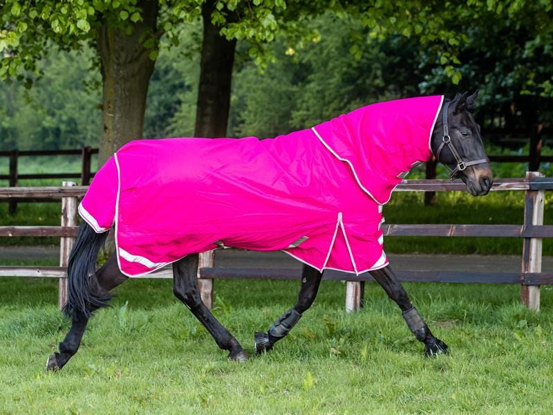 Swish 50g Detachable Neck Turnout Rug - Pink