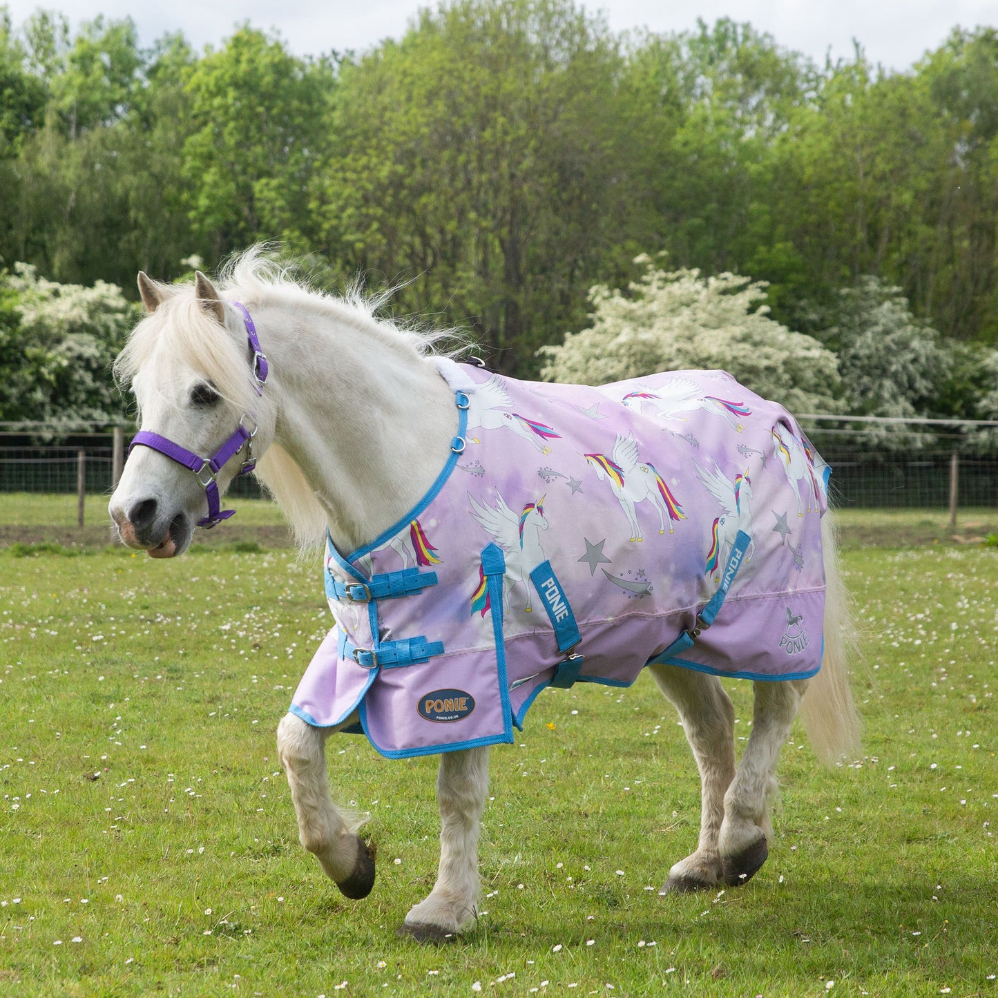 PONIE LIMITED EDITION 'Pegacorn' Duraproof Lightweight Turnout