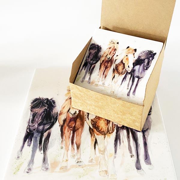 Ceramic Coasters x4 set- Pony Pals