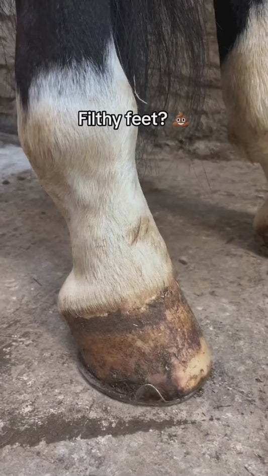 Pet Jet Hoof Jet Brush Cleaner