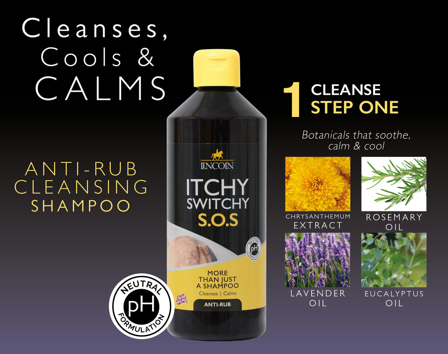 Limited Edition - Lincoln Itchy Switchy S.O.S. Starter Pack