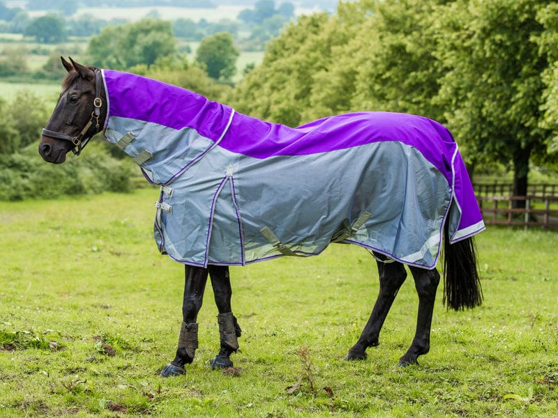 Swish Fly Turnout Combination Rug - Purple