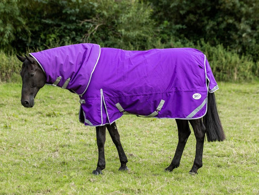 Swish 360g Turnout Rug With Detachable Neck - Purple
