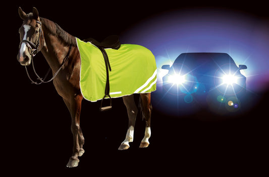 Covalliero Reflective Bundle- Exercise Sheet & Breastplate