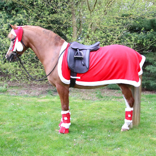 HY Christmas Santa Exercise Sheet