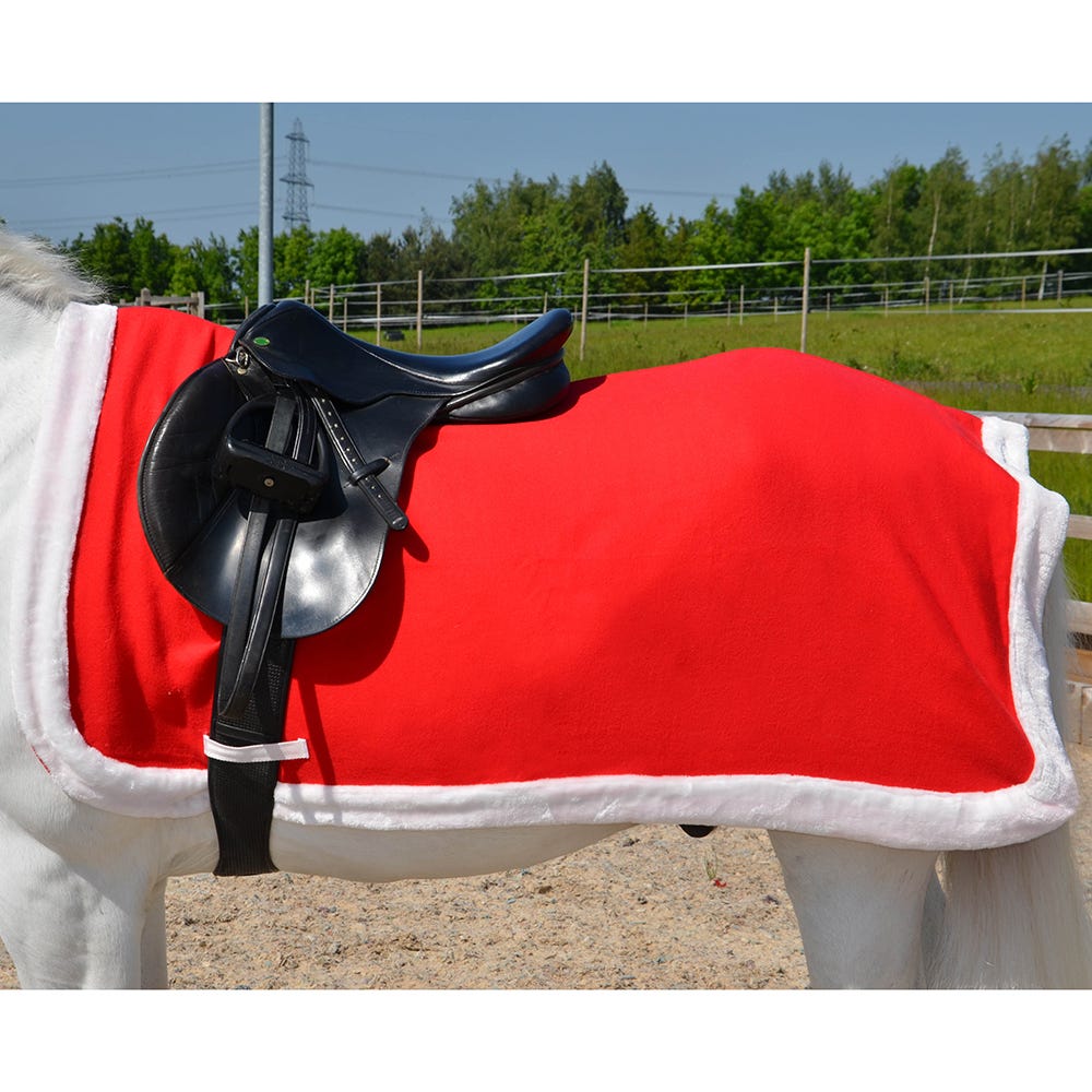 HY Christmas Santa Exercise Sheet