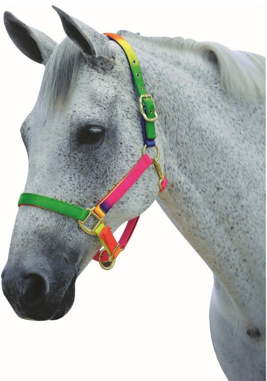 Elico Neon Rainbow Headcollar And Leadrope Set- pony only