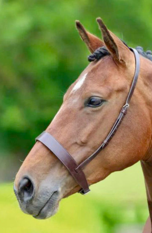Brand new pony Gara noseband