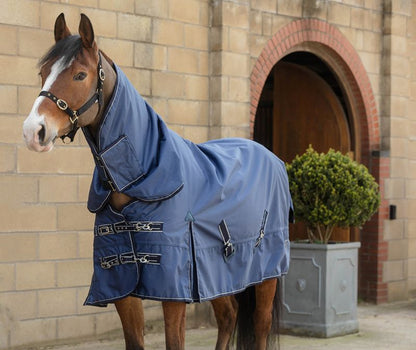 Rhinegold Arizona 100g Combo Mid-Season Turnout Rug