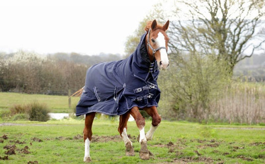 Rhinegold Gold Arizona 100g Combo Turnout Rug