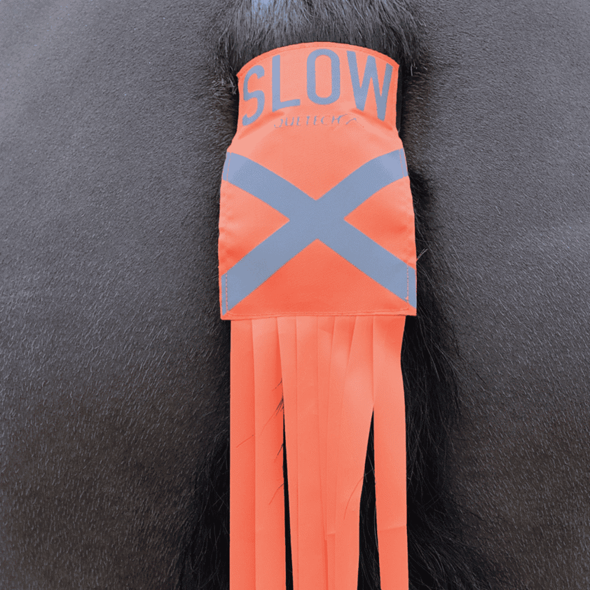 Equetech Hi-Vis Vision Horse Tail Tassels