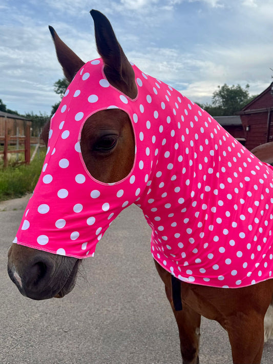 Cob Size Lycra Hood- Great condition