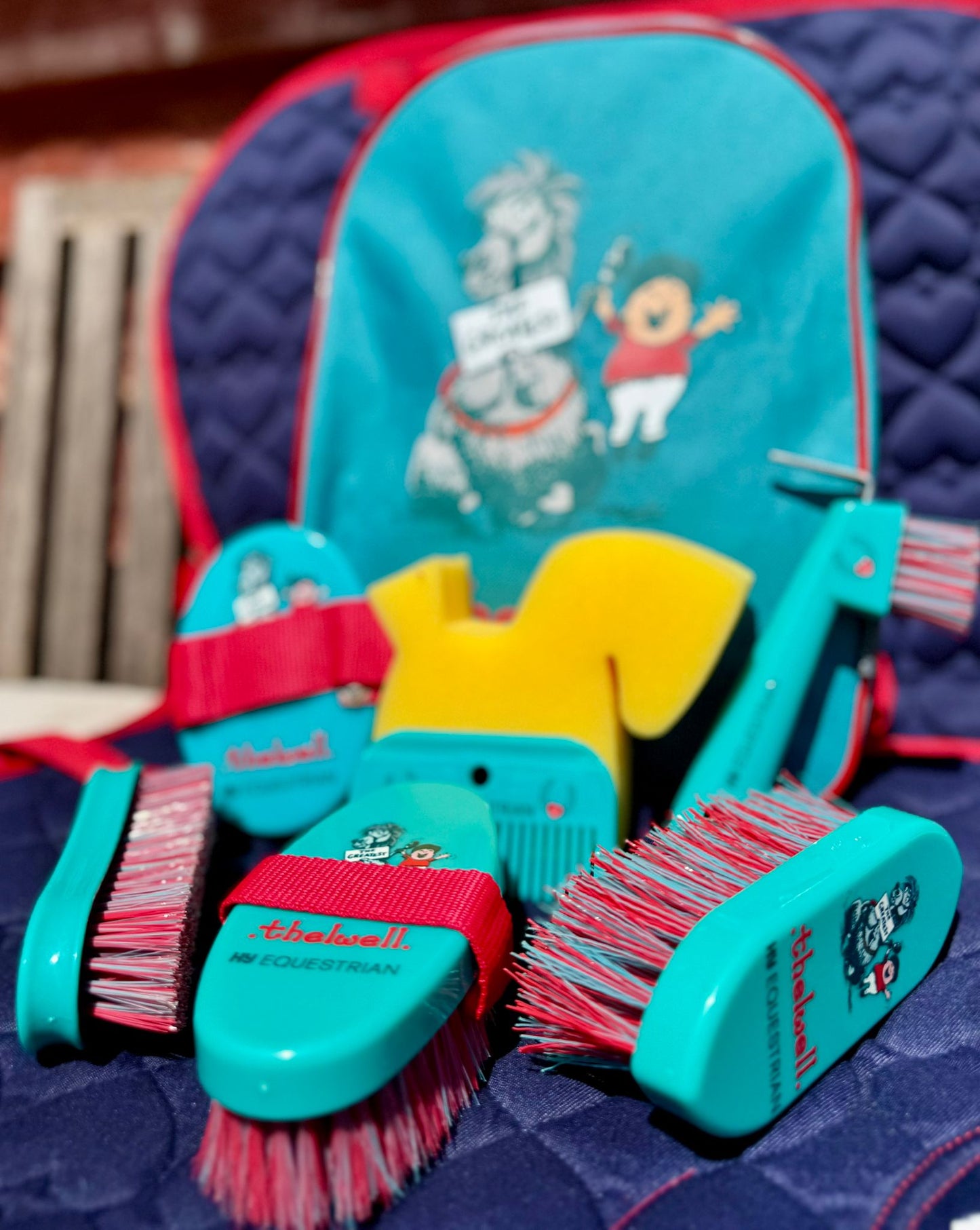HY- Thelwell Complete Grooming Kit