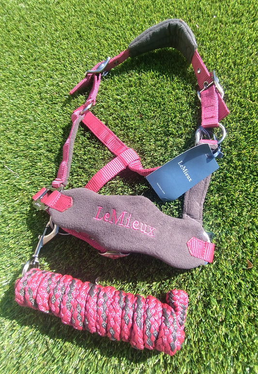 Lemieux Vogue Head collar and lead rope set- Ember