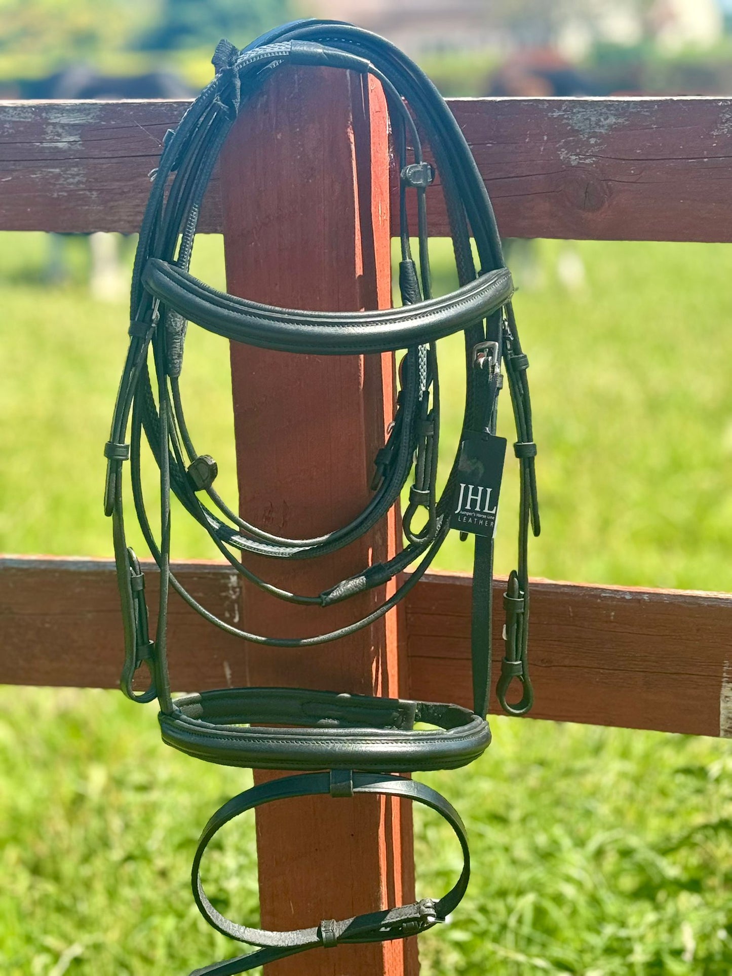 JHL Black Leather Flash Bridle
