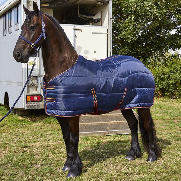 Elico Easington (200) Stable Rug