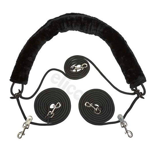 Elico Best of Horse Training System