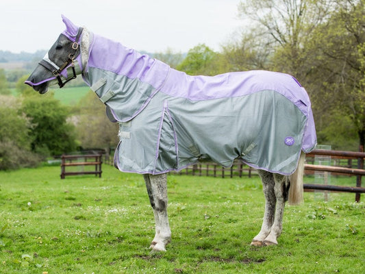 Swish Fly Turnout Combination Rug (NYLON) - Violet