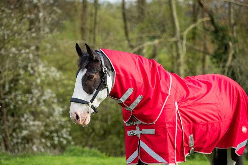 Swish WIDE FIT 100g Detachable Neck Turnout Rug - Red